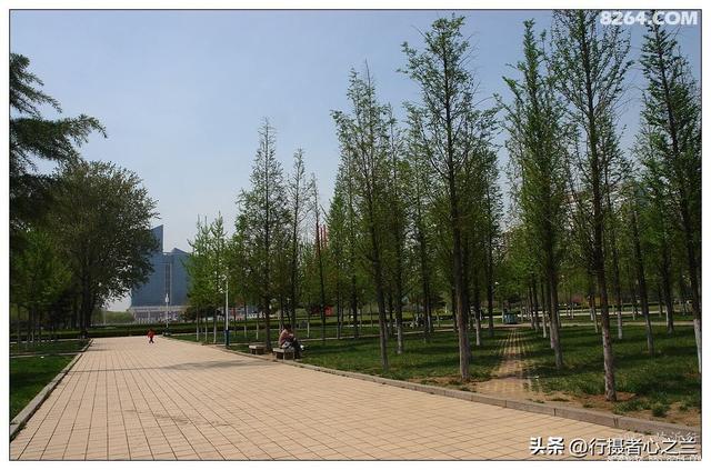 山东行游影记（59）—临沂市区