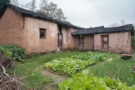 “农转非”的人注意了！实在没办法，可以用三种方式落户农村图片