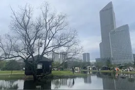 免费！台州一地突然火了，朋友圈刷屏！有人直呼“意想不到”图片