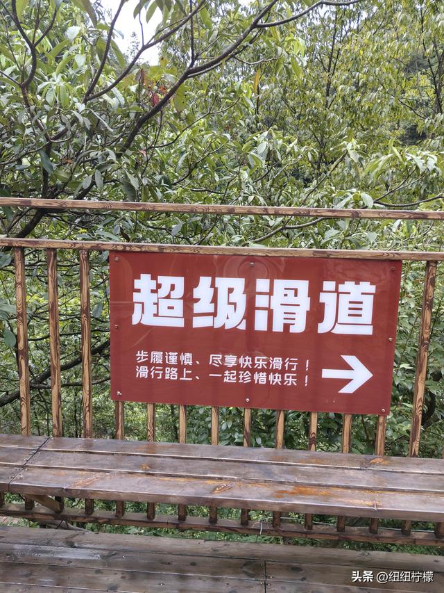 在江津四面山景区看了瀑布爬了梯，又坐了超级滑道听了潺潺流水声