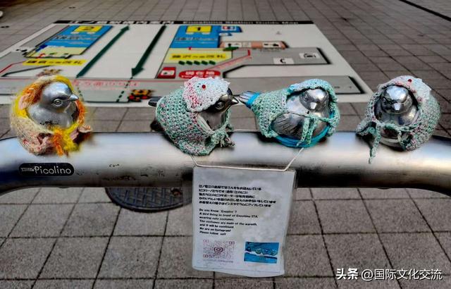 怀冰‖霜降镰仓与浅草搬家记