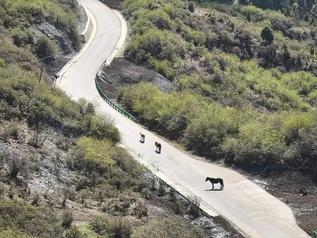 开房车自驾洛克之路，沿途的风景与路况怎么样呢？