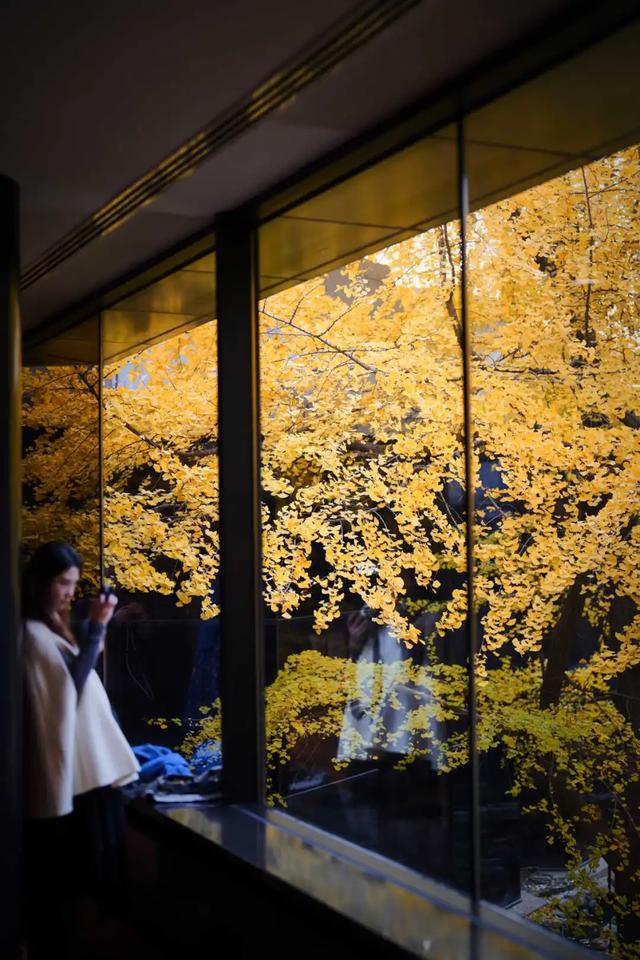 你会怀念这个秋天吗？