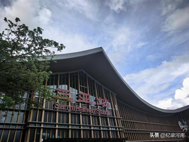 候鸟迁徙新去向：从海南到云南腾冲
