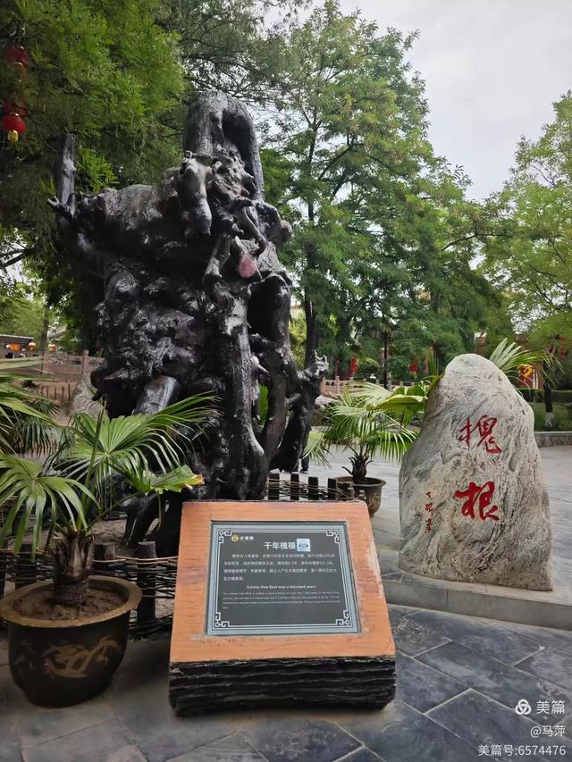寻根问祖到洪洞——大槐树的故事随记(二)
