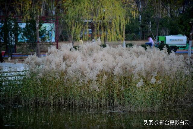 邢台市节水主题公园（美图原创）