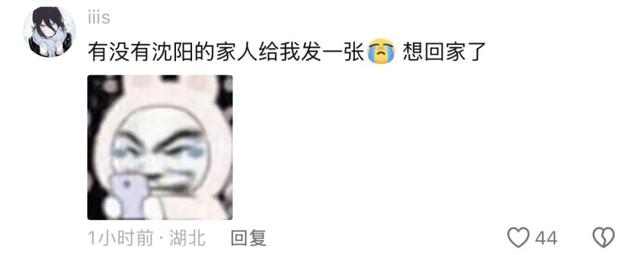 全网都在等的沈阳故宫雪景，来了→