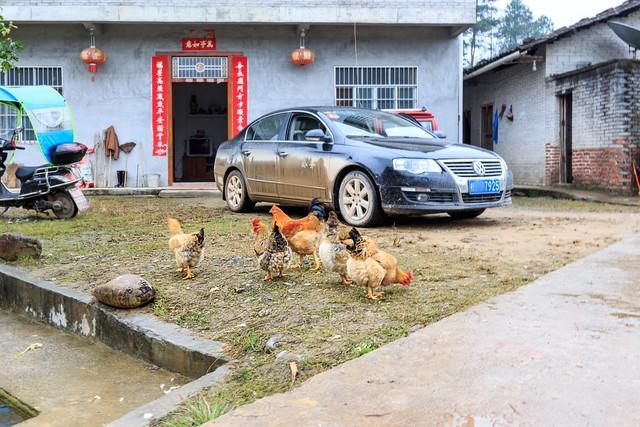 退休自驾十五年：风景会褪色，记忆永远鲜活