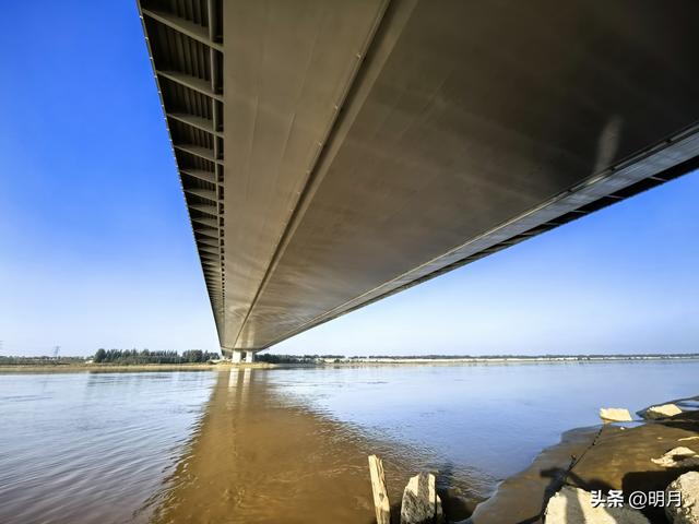 分享你最快捷去黄河千亩银杏林的路线