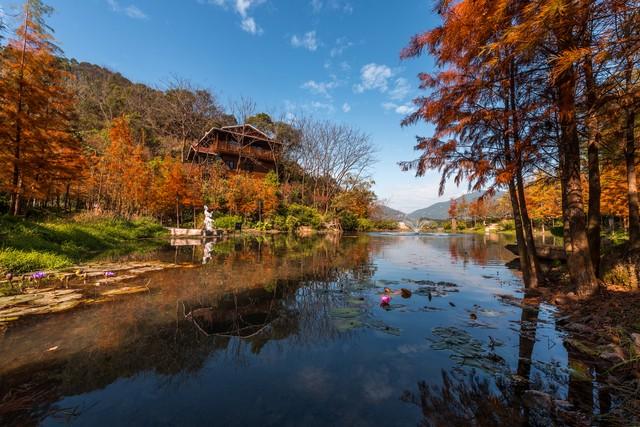 福建人私藏的红叶地图流出！这5个秘境让摄影师疯狂