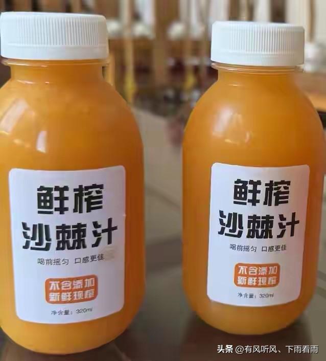 额济纳胡杨：为何枯木、遗址与烟火，反倒成了最动人的风景？