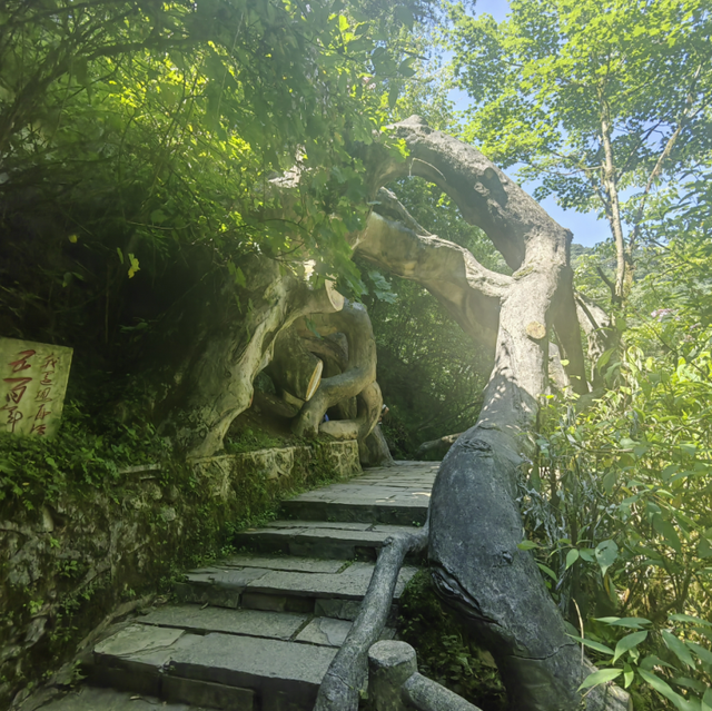 漫步黑竹沟，尽享初秋美景~