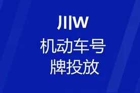 今（7.1）日起，川W新机动车号牌投放！图片