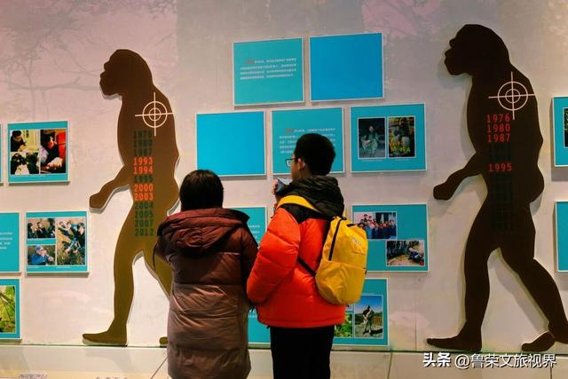 南国最美雪乡神农架：108种冬日浪漫，藏着华中最野的雪趣