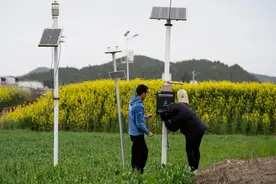 良田之上筑粮仓——四川省蓬安县大力推进高标准农田建设图片