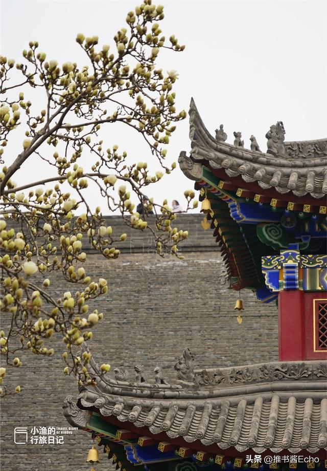 地铁直达！西安“顶流”山桃花，花开成瀑！这才是长安最美春天！