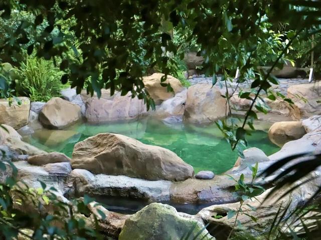 秋日升温计划丨泡在南岸，把深秋泡暖！