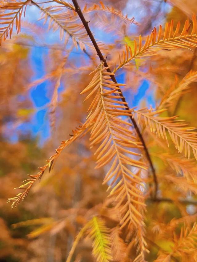 如何把1天过成N天？跟着韶关这条线路解锁瑶乡浓烈的快乐