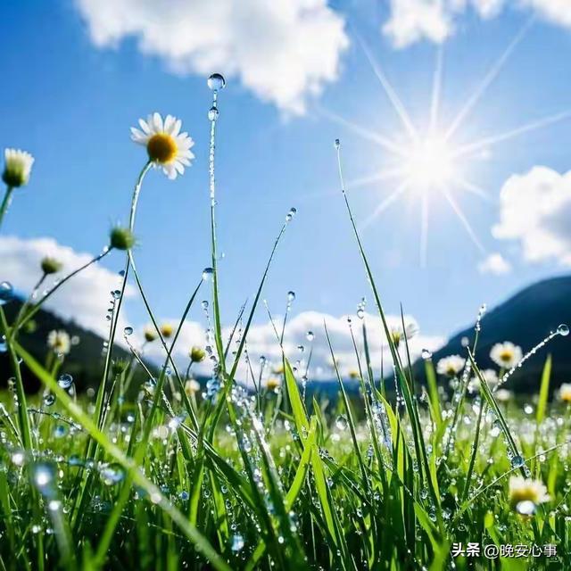 生肖猪要留意了：不出三天	，人生要事降临，天意难违早做准备