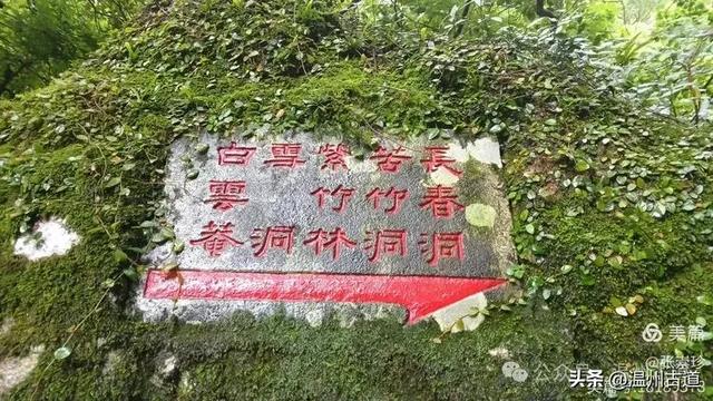 探秘雁荡三绝之一的绝美风光！来一次深度游~