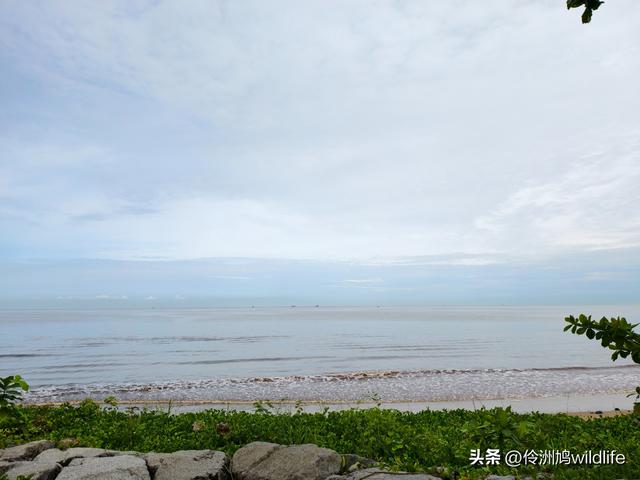 马来西亚(33)砂拉越州⑦美里市加拿大山、海滨公园等