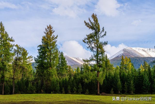 我的阿勒泰之旅(2)