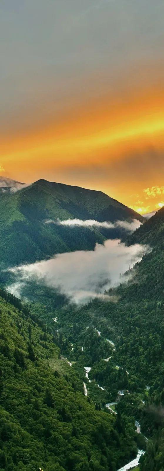 中午在成都涮毛肚，下午去阿坝·达古避暑！自驾5h直达20℃夏天，凉爽直接封顶！