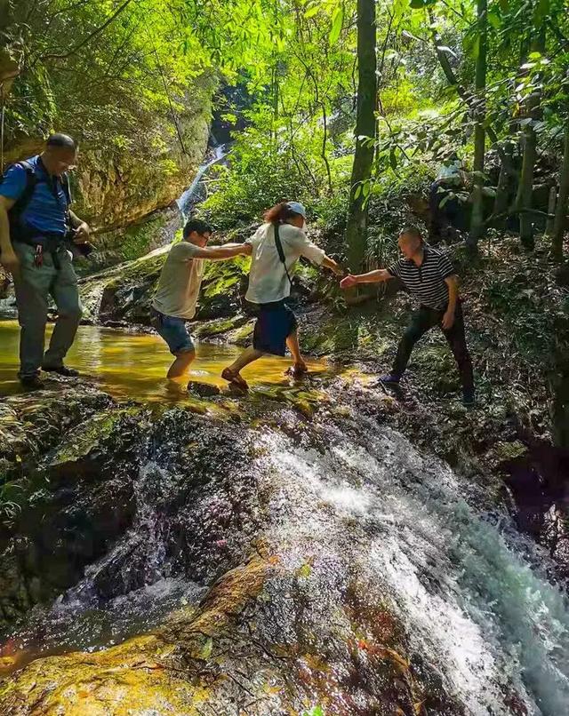 秋冬遛娃“药”新鲜！能吃能玩还能“养”，这条游玩路线一站式拿捏