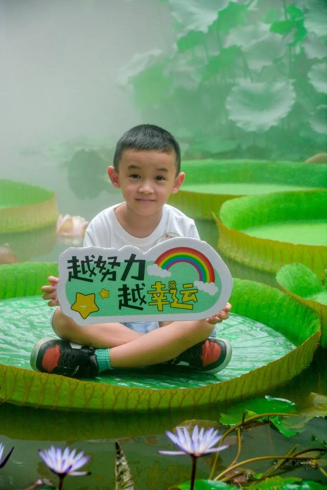 柳东奇遇记② | 探寻绿野仙踪，打卡宝藏生态画卷