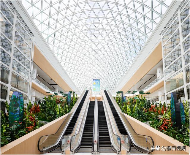 白云机场“五跑三楼”启航：链通全球，重塑湾区枢纽新能级