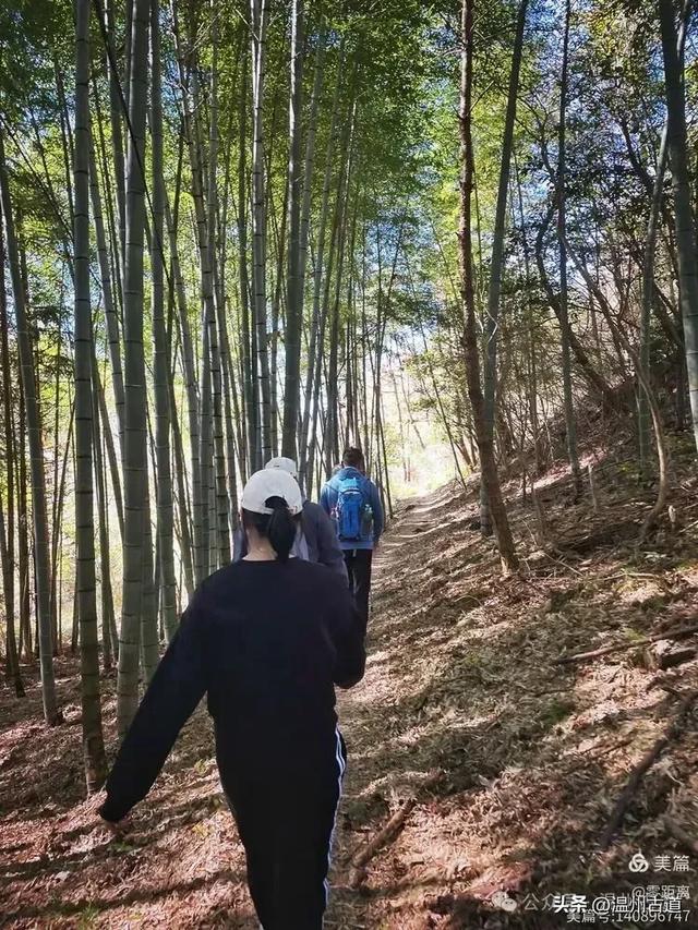 醉美林坑晒秋！这条连接两个避世古村落的省一级古道，周末可走起