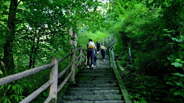 23岁女大学生独自徒步峨眉山，下山时意外失联46 天，最终不幸遇难