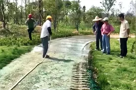 七旬老人在樱桃园采樱桃意外摔伤，家属索赔18万！律师：经营者有安全保障义务，但也有合理限度图片