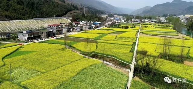 小布丁·早安丨地名里的重庆：酉阳泔溪镇，山水相依 古韵流长