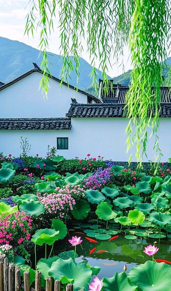 一池荷塘锦鲤游，半院白墙黛瓦幽