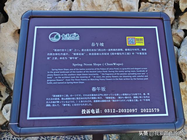 这个时候参观保定古莲花池景区有点时间不对，但还是进来转一圈