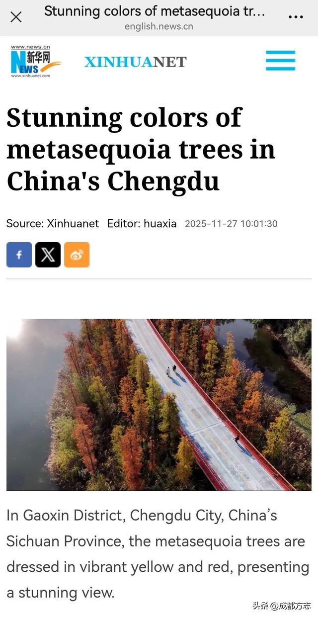 火出圈！外交部发言人也在关注成都这抹红→