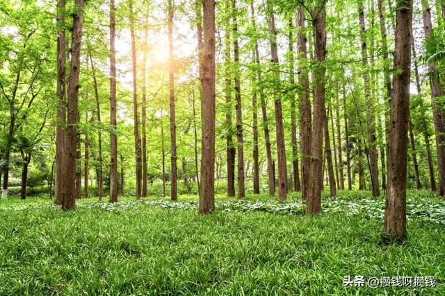 我有3个高中同学，全都中年返贫了，这5个坑，一个都不能踩！