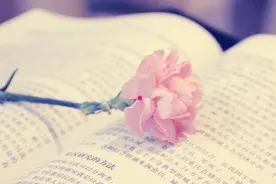 女人在微信上出轨删不掉的四个痕迹，希望你永远不要用到图片