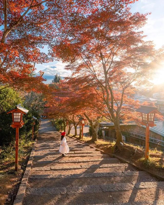京都红叶狩完全攻略：从绝景到舌尖的秋日盛宴