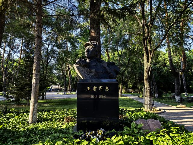 2025年夏季东北边境游（49）北疆重镇黑河
