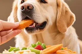 狗狗5大爱到疯狂的食物！附5种碰不能碰的"隐形毒药"，新手必存图片