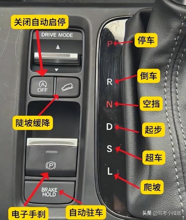 自动挡车正确的起步和停车步骤，一文学会，开车上路不求人！