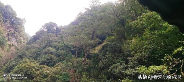 七绝 暑日游南山
