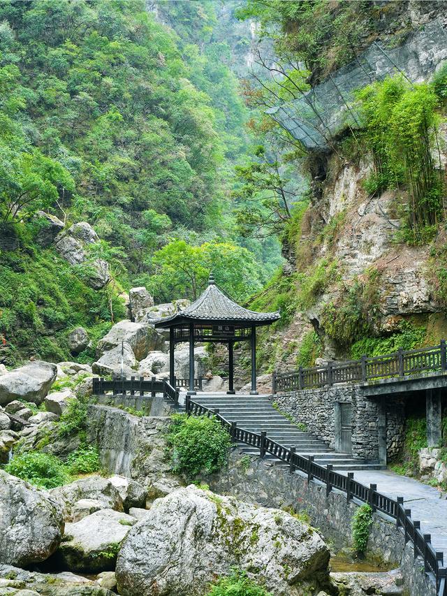 后悔没早去！游轮养老游把爸妈玩超爽