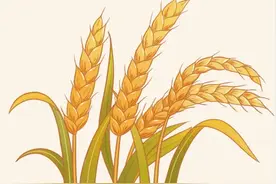 传承农耕文明，探秘古人如何耕种图片