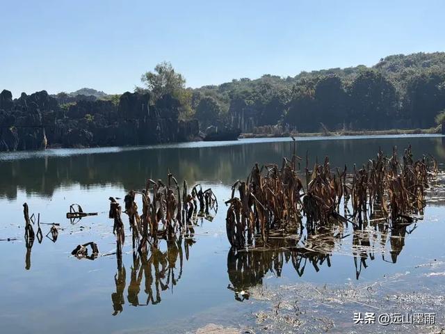 走石林仙女湖、观雷打石石林,徒步穿越绵延石林间,我们惊叹不已