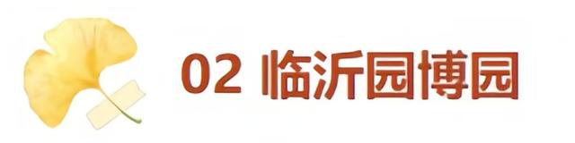最适合拍银杏的地方！ 临沂十个0元打卡点，抓住今年最后的金色风暴！