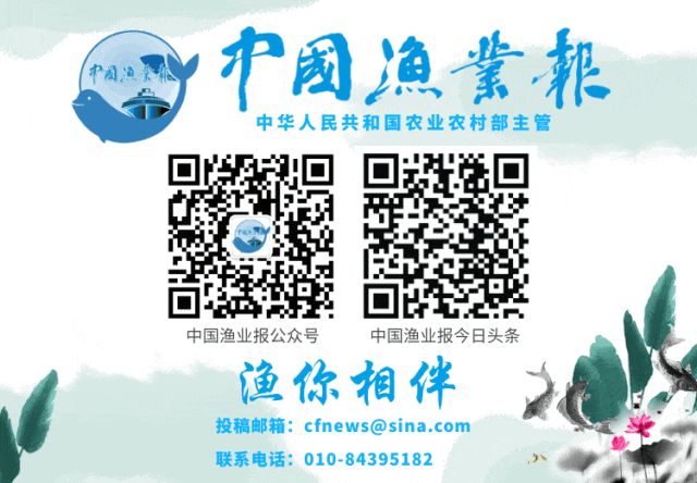 长江江豚人工繁育技术获重大突破 全球首个珍稀濒危淡水鲸类精子库在武汉建立