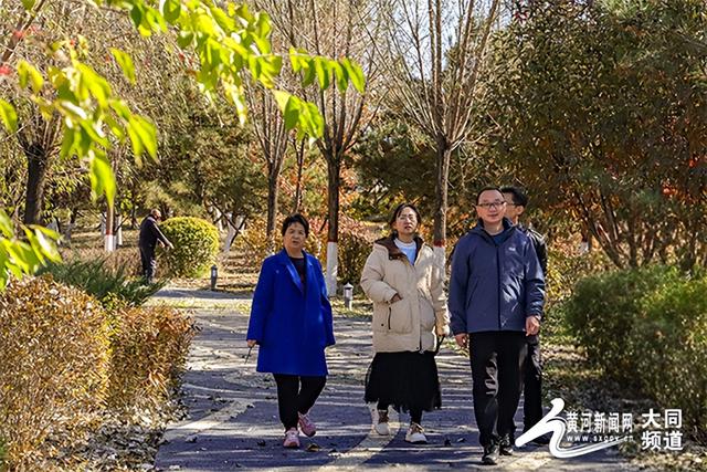 黄花公园秋意深 游客笑语映秋云